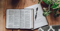 4 Ways to Get Back into Reading Your Bible
